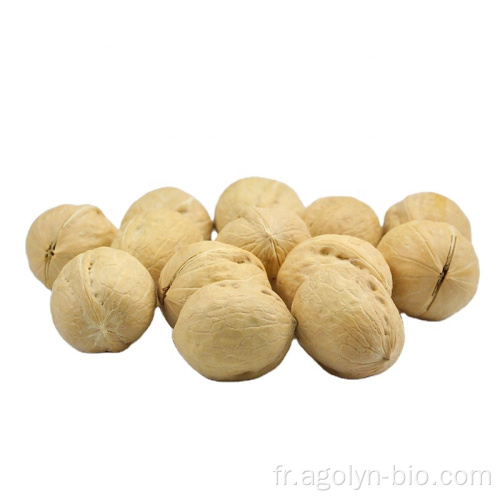 Nouvelle récolte de noix en coque à vendre